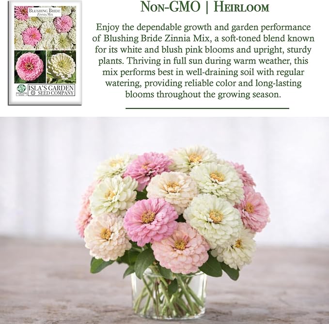 Blushing Bride Mix Zinnia Seeds (Zinnia elegans) – 200+ Heirloom Non-GMO Seeds by Isla’s Garden Seeds, Soft White & Pink Blooms, Elegant Cut Flowers, Long Blooming, Garden Gift Idea