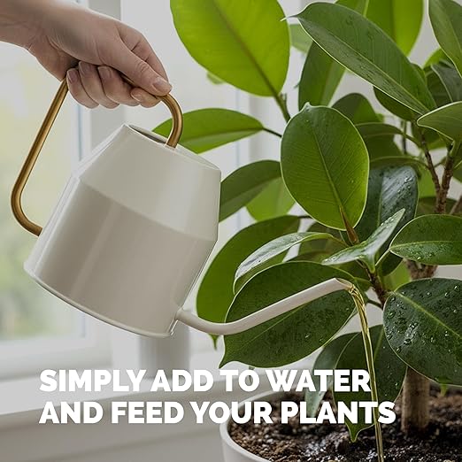 Ficus Tree Fertilizer – Liquid Plant Food for Lush Foliage, Stronger Roots & Healthy New Growth, 8 oz