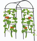 80 Inch Tall Garden Arch Trellis for Climbing Plants Outdoor, Grape Trelli Metal Vine Plants Support Flower Vegetable Tomato (Black, 33" L x 33" W x 80" H - Arch Trellis)