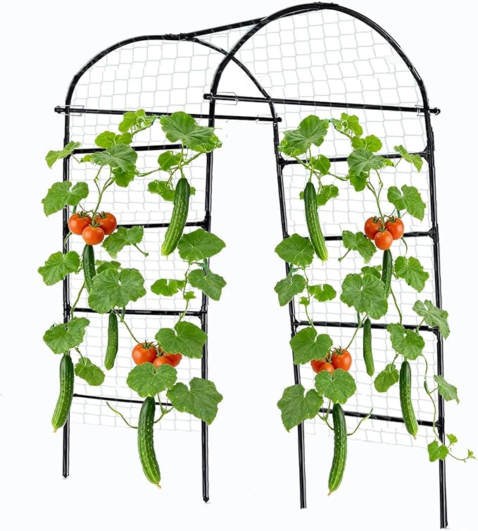 80 Inch Tall Garden Arch Trellis for Climbing Plants Outdoor, Grape Trelli Metal Vine Plants Support Flower Vegetable Tomato (Black, 33" L x 33" W x 80" H - Arch Trellis)