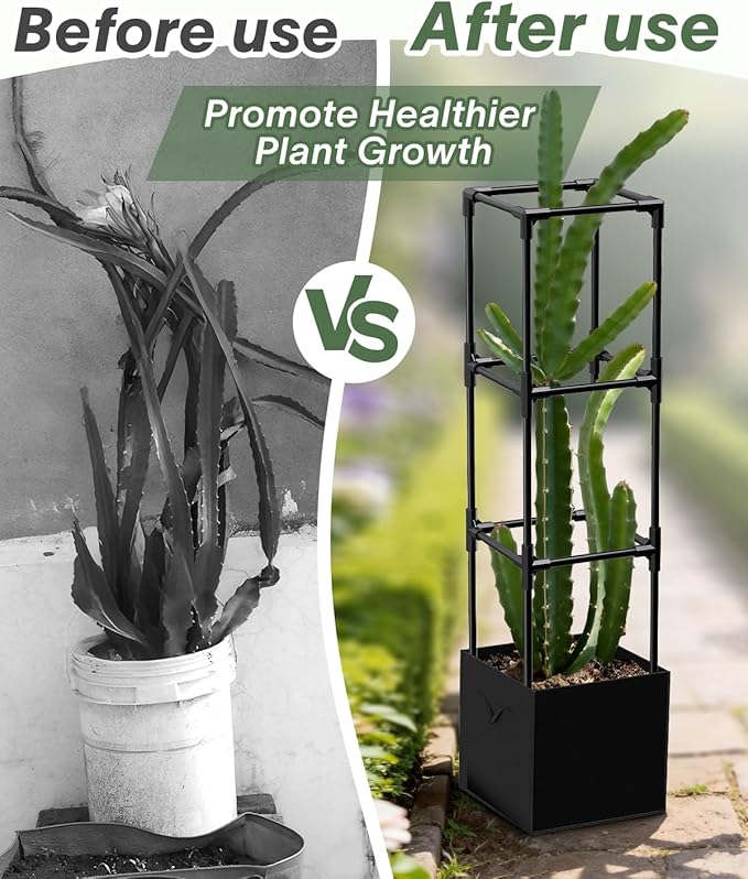 2PCS Dragon Fruit Trellis for Climbing Plants Indoor Outdoor, Heavy Duty Metal Adjustable Vertical Garden Support for Indoor Outdoor Potted Plants, Tomato, Cactus, Roses,Vines(12 * 12 * 47inch,2PC)