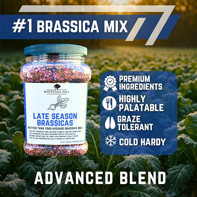 Whitetail Hill Late Season Brassicas Food Plot Seed Mix, 1/3 Acre or 2.5 Acres, 5 Brassicas, Cold Hardy, Graze Tolerant, Forage All Winter Long