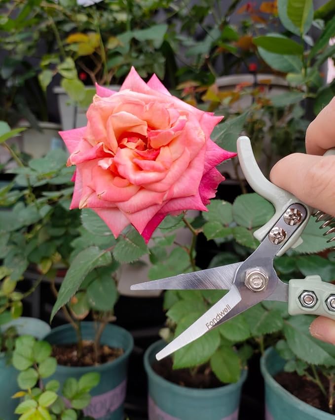 Fondwell 6" Pruning Shears Garden Scissors: Ultra Sharp Garden Clippers - Reliable Flower Snips for Trimming Small Plants