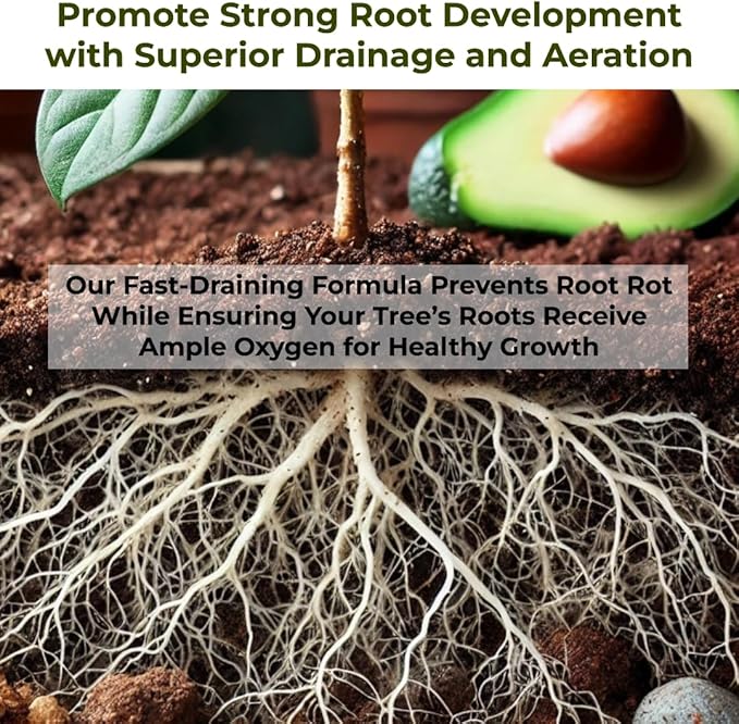 GARDENWISE Avocado Tree Soil – Premium Organic Potting Mix for Avocado Trees | Tailored pH & Organic Nutrients | Fast-Draining & Moisture-Retaining | Indoor & Outdoor Use (4 QUARTS)
