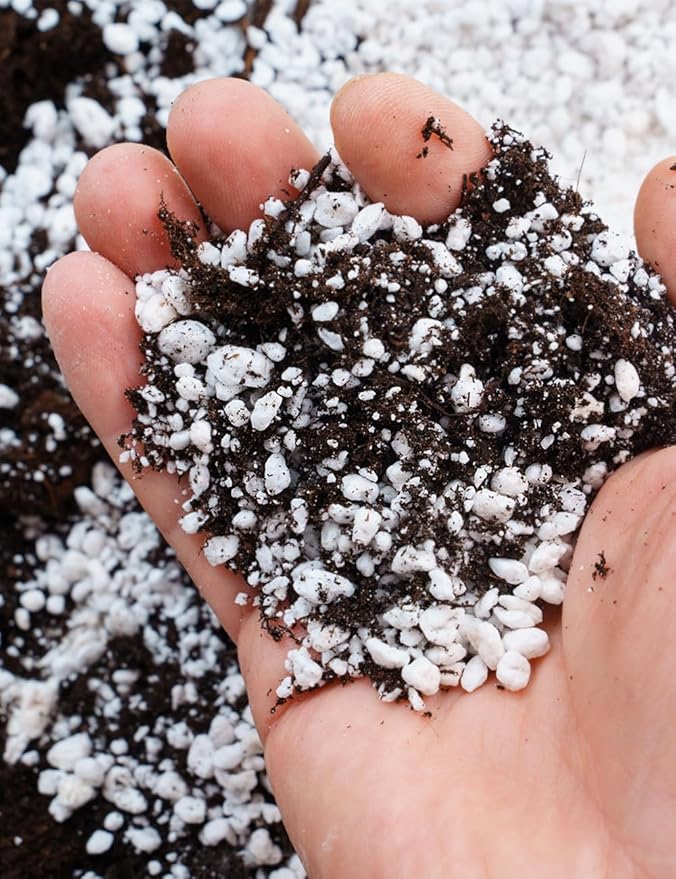 TOYPOPOR Perlite for Plants, (6qt) 3-6mm Organic Perlite for Gardening, Perlite for Plants Indoor, Soil Additive Conditioner Mix Improve Drainage and Ventilation Promote Root Growth and Soil Health