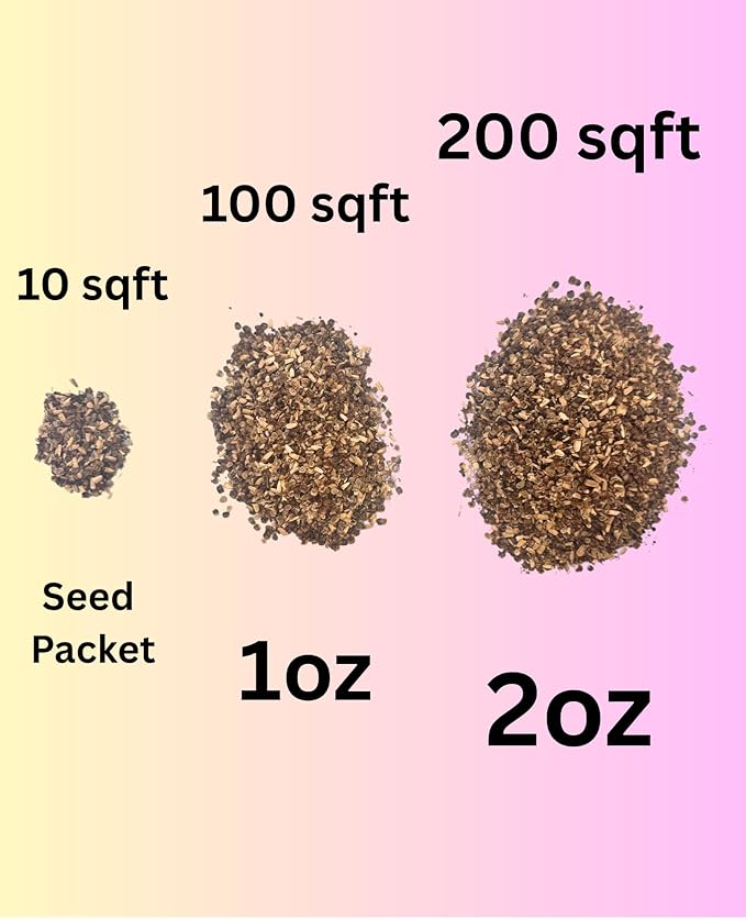 Urban Wildflower Mix (2oz) Sprinkle a Little Magic—Our Shade, Perennial, Hummingbird, Deer-Resistant, and Other mixes Bring Vibrant Color and pollinator Joy to Any Space.