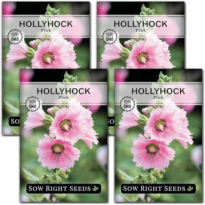 Sow Right Seeds - Pink Hollyhock Seeds for Planting - Non-GMO Heirloom Packet with Instructions to Plant an Outdoor Cottage Garden - Tall Flowers, Cup Shaped Blooms for Bouquets & Arrangements (4)