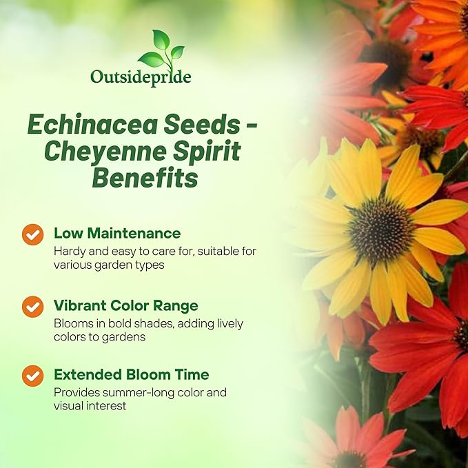 Outsidepride Cheyenne Spirit Echinacea Coneflower Seeds - 20 Pcs Perennial, Drought Tolerant Mix of Purple Coneflower Seeds for Planting, Attracts Birds & Butterflies for Xeriscape (AAS Winner)