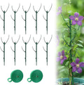 10PCS Monstera Plant Support Set, Plant Stakes for Indoor Plants, Plant Support, Suitable for Support Climbing Plants, Stabilize Potted and Plant Pile Decoration