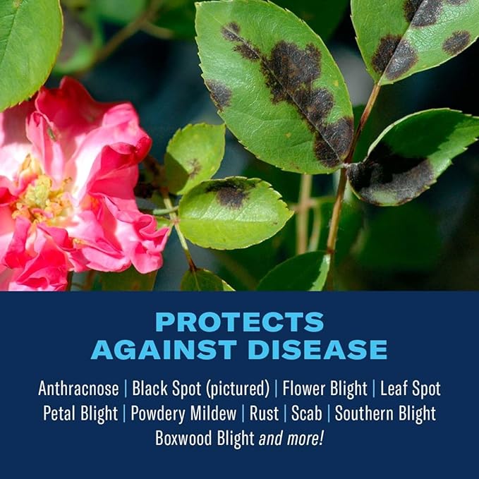 BioAdvanced Disease Control for Roses, Flowers and Shrubs, Concentrate, 32 oz, 42 Gals of Spray