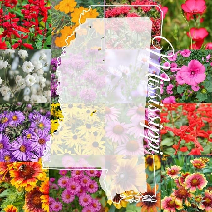 Mississippi Bulk Perennial Wildflower Seed Mix 1lb Covers 2,000sq-ft - Attract Pollinators, Multi-Color Blooms - Southeast US Species Plant in Spring/Fall, Earth-Friendly Packaging (1/4 Pound)