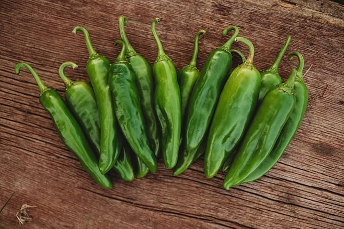 Anaheim Pepper - 25 Seeds - Popular New Mexican Chili Variety, Spicy Hot Peppers, Non-GMO Heirloom Green Chili Seeds for Planting in The Home Garden, Thresh Seed Company