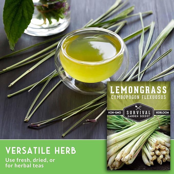 Lemongrass Seeds for Planting - Lemon Scented Asian Lemongrass for Your Home Vegetable Garden - Heirloom Non-GMO Open-Pollinated - Survival Garden Seeds (1 Pack)