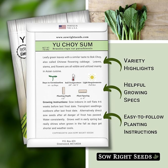 Sow Right Seeds - Yu Choy Sum Seeds for Planting - Unique Chinese Cabbage Variety - Asian Vegetable - Easy to Grow - Non-GMO Heirloom Greens - Versatile in Large Gardens or Small Spaces (4)