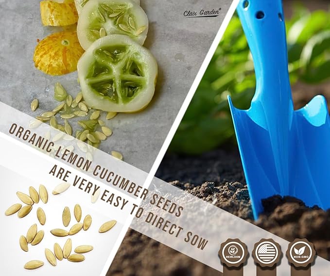 Lemon Cucumber Seeds - 100 Heirloom, Non-GMO Seeds, Excellent for Any Home Garden, Simple to Grow, Delicious Flavor, Quick Grow Cycle