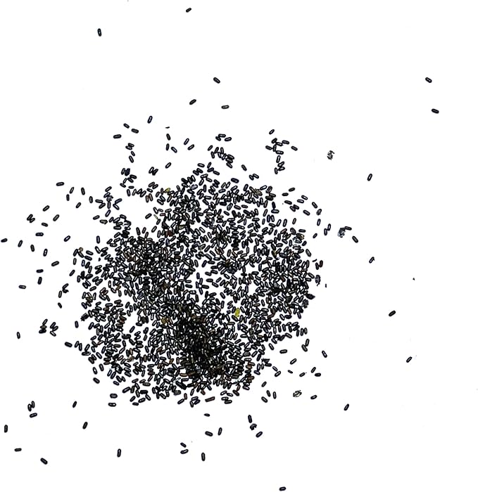 Seed Needs St. Johns Wort Seeds for Planting - Non-GMO Heirloom & Untreated Medicinal Herb Seed to Plant a Home Grown Outdoor or Indoor Garden (2 Packs)