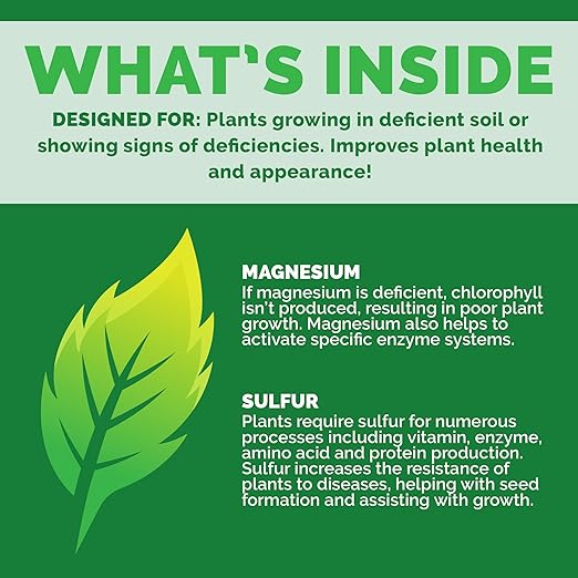 Bloom City Liquid Epsom Salt Plant Food - for All Indoor & Outdoor Plants, Fixes Magnesium Deficiency to Restore Lush Green Leaves, Liquid Concentrate, 32 oz