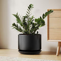 LE TAUCI Ceramic Pots for Plants, 10 Inch Plant Pot with Drainage Hole & Saucer, Sturdy & Modern Planters for Indoor Plants, Includes Mesh Screen, Fits Snake Plant & Monstera, Black