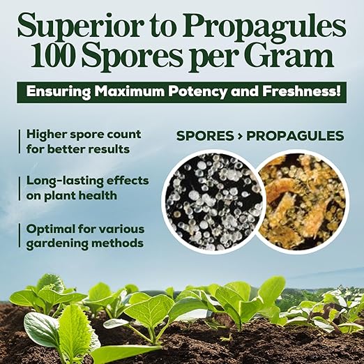 Mycorrhizal Fungi Organic Root Enhancer for Plants, Super Potent 100 Spores Per Gram, 5-Strain Blend, Rapid Results for Gardens, Houseplants, Lawns, Mycorrhizae Smart Grower 250 Grams for 250 Plants
