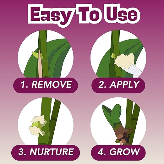Keiki Cloning Paste (0.5oz) for Orchids & Houseplants - 2X Size - Create New Growth with Cute Farms Hormone Gel