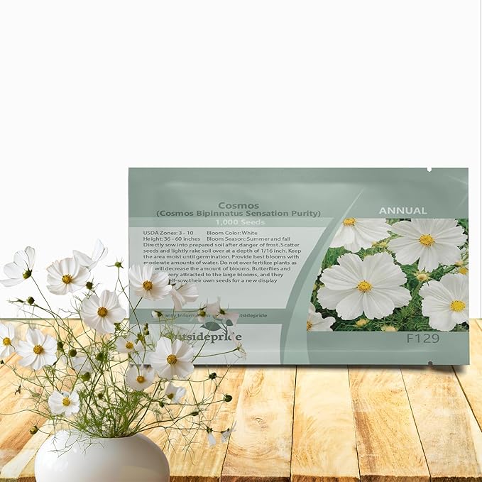 Outsidepride Purity Cosmos Bipinnatus Seeds - 2000 Pcs Annual, Easy to Grow & Drought Tolerant Flower Seeds for Planting w/Fern-Like Foliage & White Blooms, Ideal for Cut Flower & Wildflower Meadows