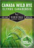 Survival Garden Seeds – Canada Wild Rye (Elymus Canadensis) | Fast-Growing Prairie Grass | Erosion Control | North American Native Grass Seed - 1 Pack