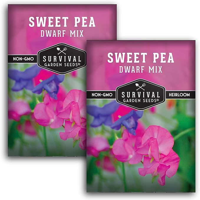 Dwarf Sweet Pea Seeds for Planting - Compact Bush Style Sweet Pea Flowers for Containers and Small Gardens, Fragrant Flower Variety for Outdoor Growing – Survival Garden Seeds (2 Packs)