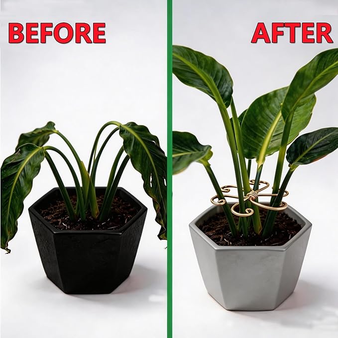 5Pcs Plant Stem Support, Monstera Climbing System, Durable Iron Hook Grapple Holder for Leaves and Turtle Shells, Outdoor Indoor Growing Plants Stabilization