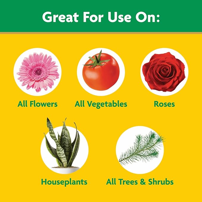 Miracle-Gro Water Soluble All Purpose Plant Food - Fertilizer For All Indoor or Outdoor Plants including Roses, Flowers, Vegetables, Houseplants, Trees, and Shrubs, 5.5 lbs.