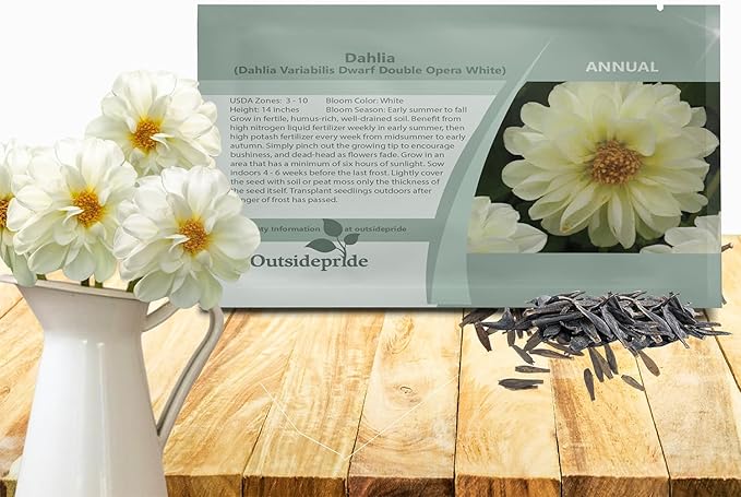 Outsidepride Opera White Dahlia Seeds for Planting - 200 Pcs Annual, Easy to Grow, Season-Long Flower Seeds with Colorful Blooms for Containers, Pots, Borders, & Gardens, Suitable as Cut Flower