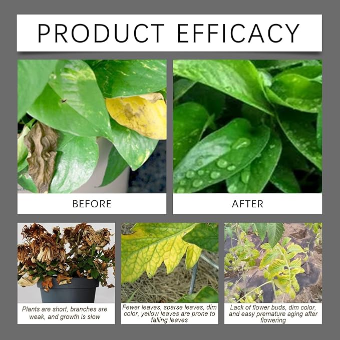 Soil Pro Activator, 7 Fl Oz Soil Activator for Plants, Water-Soluble Formula, Enhance Growth for Vegetables & All Plants (1pcs)