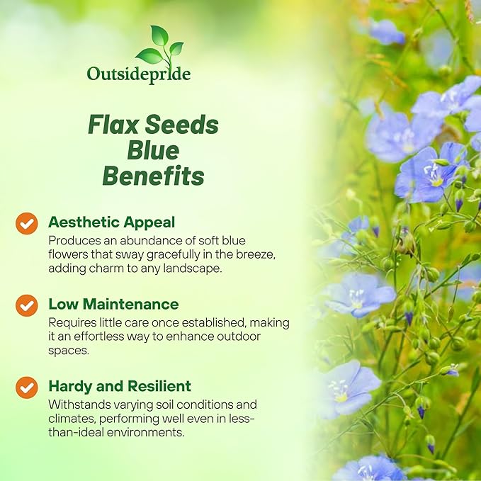 Outsidepride Blue Flax Seeds - 1 lb Perennial Flower Seeds for Planting, Self-Seeding, Drought-Tolerant w/Compact Growth, Ideal for Small Gardens, Meadows, Borders, or Mass Plantings