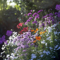 Ferry-Morse Knee-High Mix Bulk Wildflower Seeds, 1lb
