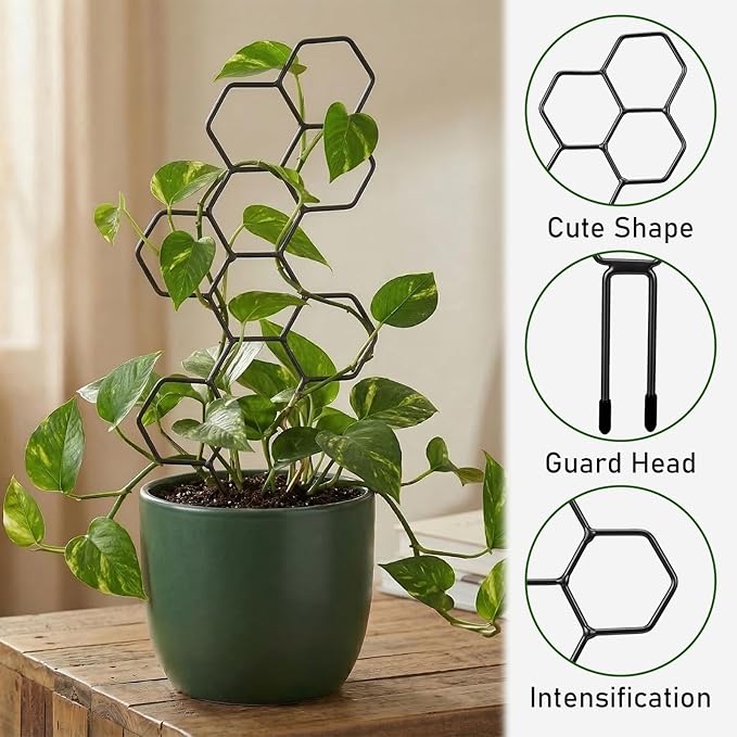 Plant Trellis Indoor, Trellis for Climbing Plants, Hanging Planters for Planting Houseplant Plant Wall, Honeycomb Pothos Planting Climber Support for Flower Indoor Plants Supports(Black)