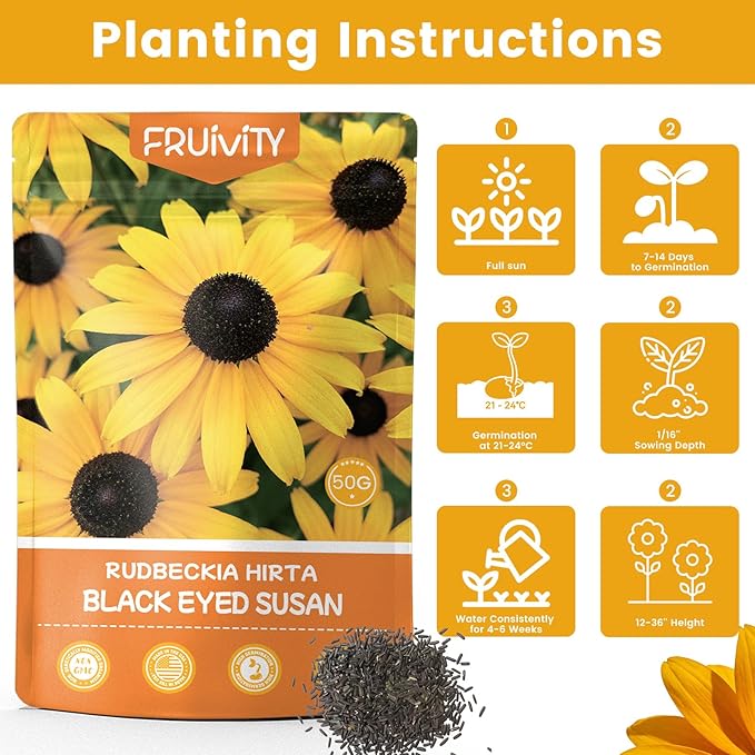 120,000+ Black Eyed Susan Seeds for Planting, Perennial Wildflower Seeds for Pollinator Gardens, Non-GMO Heirloom Flower Seeds to Plant Outside & Inside, Borders, Containers, Rudbeckia hirta