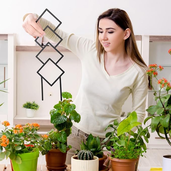 4 Pcs Trellises for Climbing Plants Indoor Metal Climbing Plant Support Metal Plant Trellis for Pots Garden Trellis for Climbing Plants for Plant Lovers (Style 2)