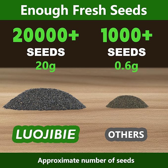 Moss Rose Seeds, 20,000+ Bulk Flower Seeds for Planting Outdoors(99% Pure Live, Non-GMO), Mixed Colors and Large Blooms, Attracts Pollinators, Easy to Grow