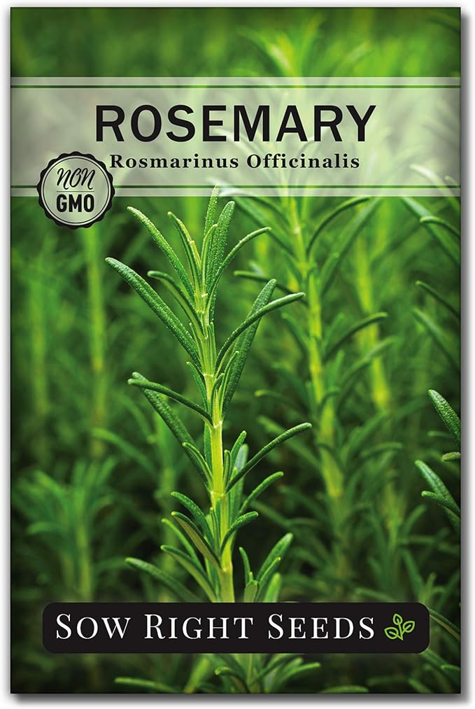 Sow Right Seeds - Rosemary Seed for Planting - Non-GMO Heirloom Packet with Instructions to Plant and Grow a Kitchen Herb Garden - Indoors or Outdoor - Tasty Culinary Herb, Super Fragrant (1)