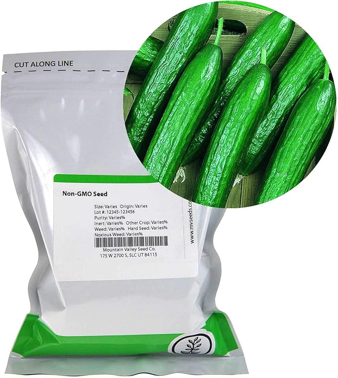 Beit Alpha CMR/MMR Cucumber Garden Seeds - 4 Oz - Non-GMO Vegetable Gardening Seeds - Seedles Cucumbers