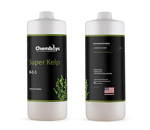 Chemboys Super Kelp Liquid Seaweed Fertilizer Kelp Plant Food Supplement for Plant Growth, Bloom & Yield Boost Liquid Seaweed Concentrate Garden Fertilizer - 1 Pint (16 fl oz)