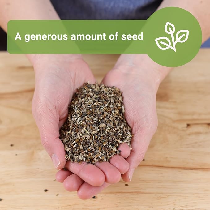 Sow Right Seeds - Bulk Wildflowers Seeds Mix for Planting - Annuals & Perennials - 2 Ounces, 56000 Seeds - Non-GMO Heirloom Jumbo Pack - Colorful Blooms for Home Grown Garden - Attract Pollinators