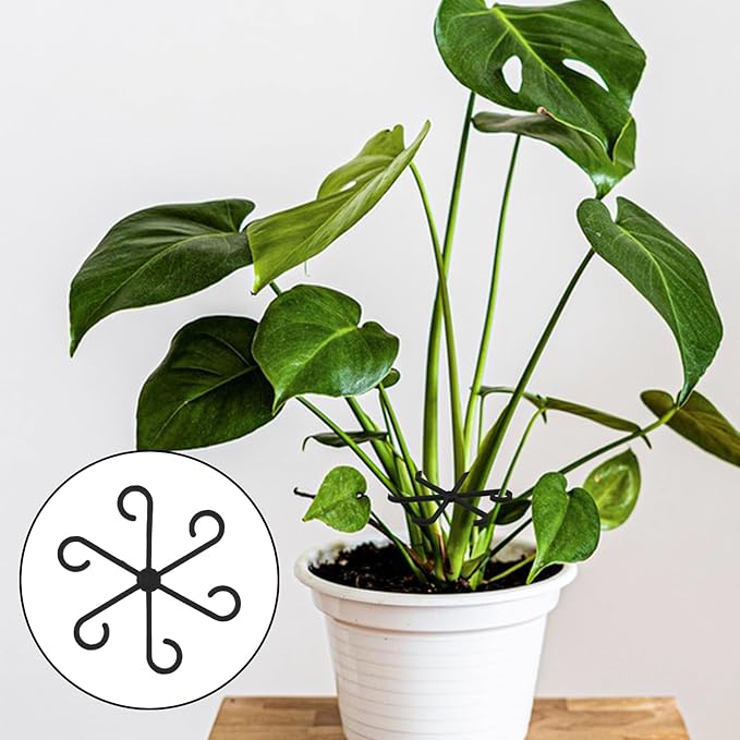 4 PCS Plant Stabilizer for Indoor Plants, 4 Sizes Climbing Houseplant Stem Support, Plastic Plant Climbers Stem Holders Reusable Climbing Plants Stakes for Indoor Outdoor Growth Accessories (Black)