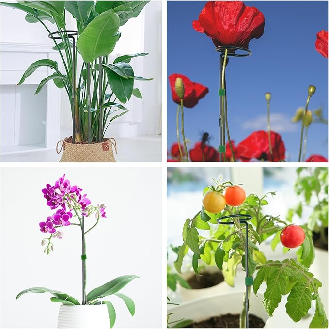 2 Pack Plant Support Sticks, 3 Sizes (12 or 24 or 36 inch) Garden Plant Stake, Plant Support Rings for Indoor Outdoor with Plants Ties, Plants Stakes for Flowers, Climbing Plants, Orchid