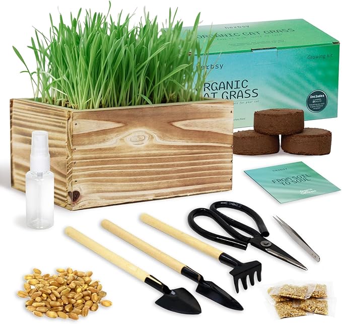 Cat Grass Kit for Indoor Cats, Complete with Rustic Wood Planter, Organic Wheat Grass Seed and Soil, Prevent Hairballs and Aid Digestion, Ideal Birthday Christmas Gift for Cat Lovers