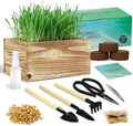 Cat Grass Kit for Indoor Cats, Complete with Rustic Wood Planter, Organic Wheat Grass Seed and Soil, Prevent Hairballs and Aid Digestion, Ideal Birthday Christmas Gift for Cat Lovers