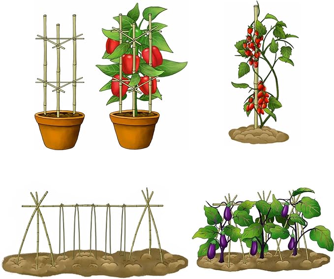 Bamboo Stakes 4 Feet Thicker Garden Stakes with Garden Twine, Diameter of 0.55in Natural Plant Stakes Bamboo Poles for Climbing Plants Support Tomato Cage - 20 Pack Bamboo Sticks for Plants