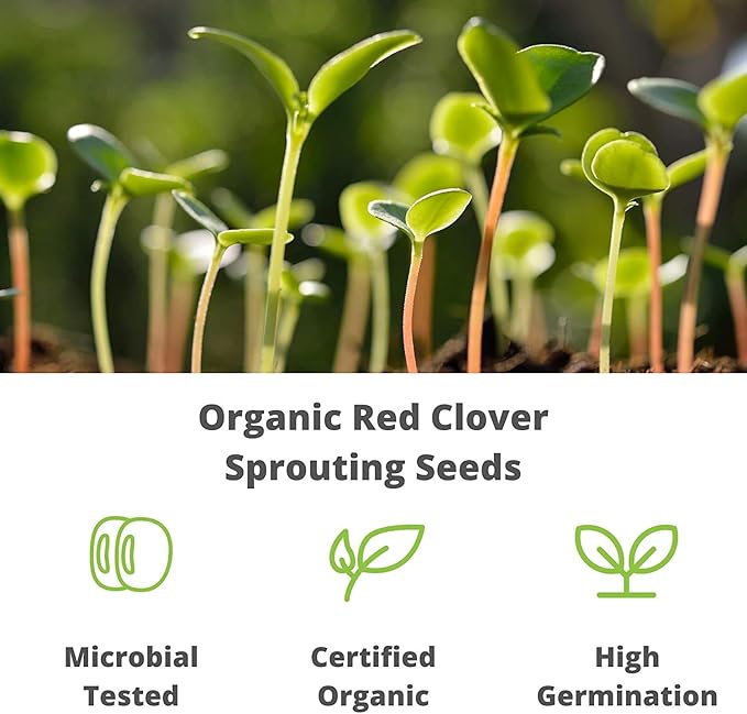 Organic Red Clover Sprouting Seeds by Handy Pantry Brand - 1 Lb Resealable Bag - Sprouts, Microgreens, Gardening, Food Storage, Hydroponics - Edible Seed
