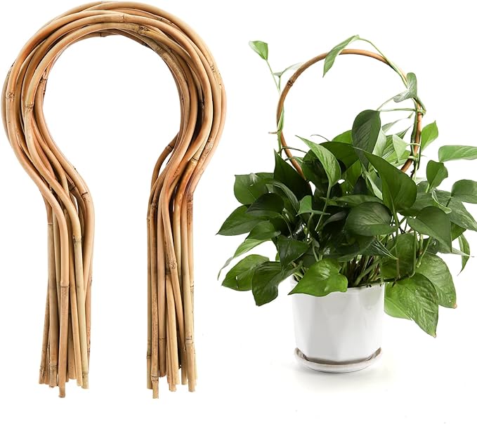 WUWEOT 20 Pack Min Bamboo Trellis, 16 in Loop-Shaped Plant Support Hoop Stake for Potted Plants Climbing, Hoya Plants Ivy Plants Monstera Cucumber and Fruits