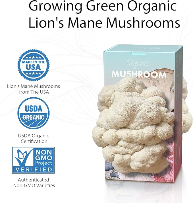 USA Organic 4lbs Lions Mane Mushroom Growing Kit, Double-Side Mushroom Grow Kit Indoor, Harvest Gourmet Mushrooms in 10 Days, Top Gardening Gift, Holiday Gift