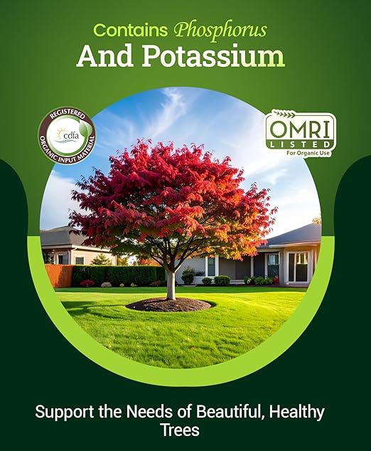 FoxFarm Happy Frog Japanese Maple Fertilizer - Supports Vegetative Growth & Strong Branch Development - 4-3-4 Blend with Soil Microbes & Mycorrhizal Fungi for Low pH Feeders - 4lb, 2 Pack
